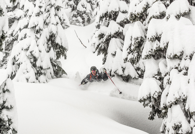 BC Powder Skiing in Trees